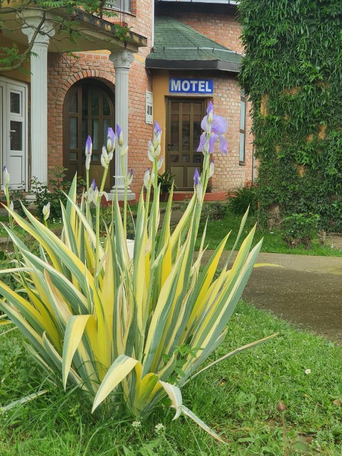 Dvorovi Motel Zoka المظهر الخارجي الصورة